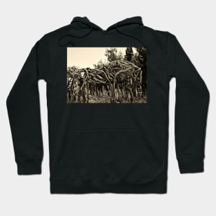 Old Wooden Horse Hoodie